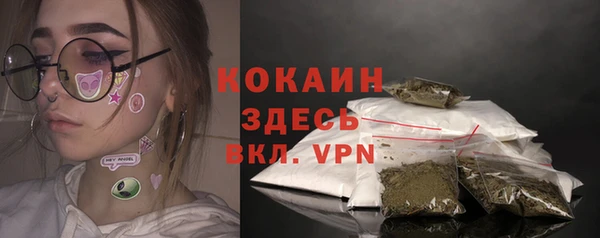 гашик Алексеевка