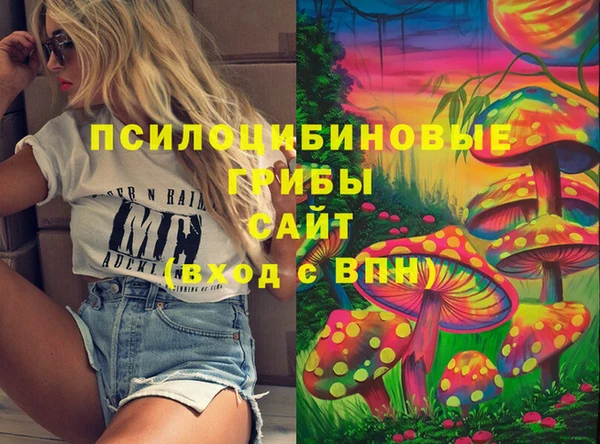 гашик Алексеевка