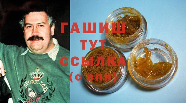 гашик Алексеевка