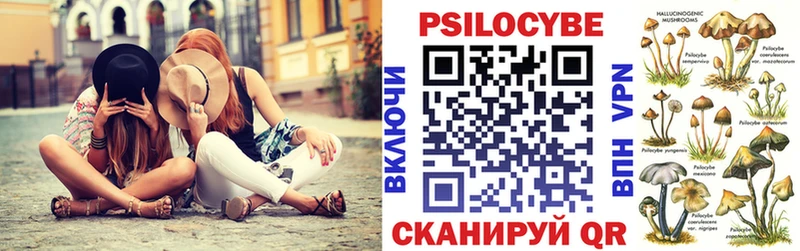Псилоцибиновые грибы мицелий  Дрезна 